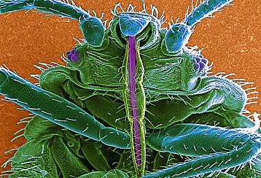 《没人想死》7月17日发售 新实机预告发布